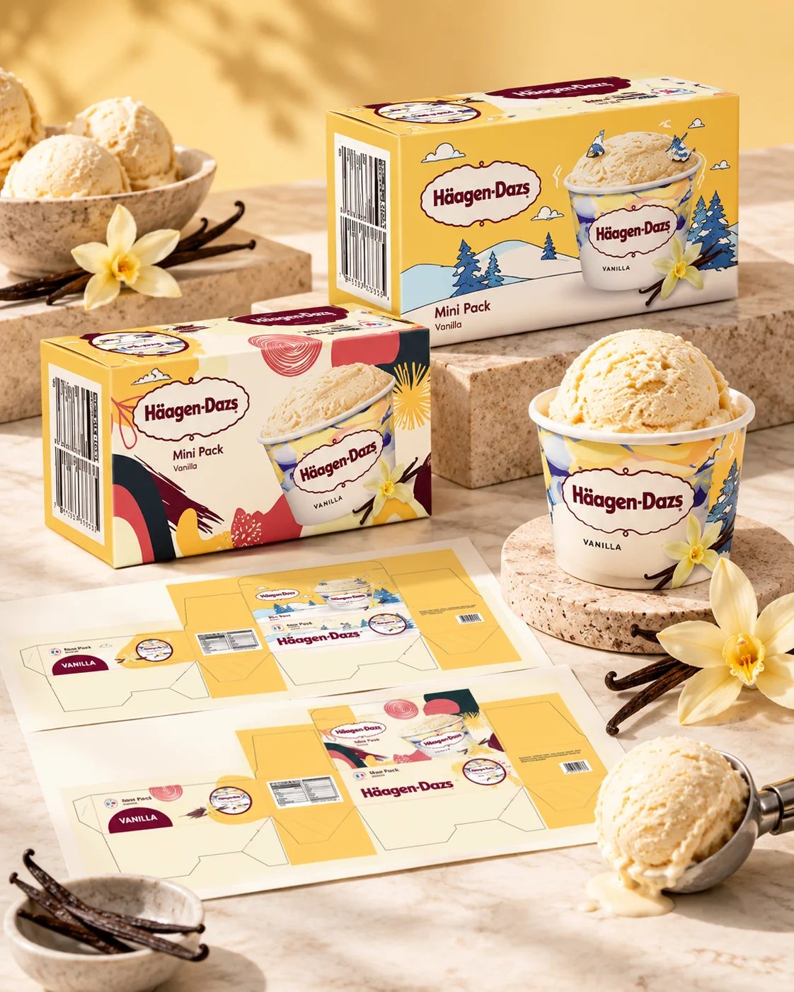 Häagen-Dazs vanilla mini pack packaging and product presentation